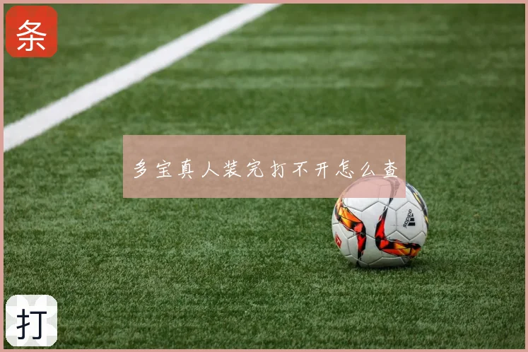 多宝真人装完打不开怎么查